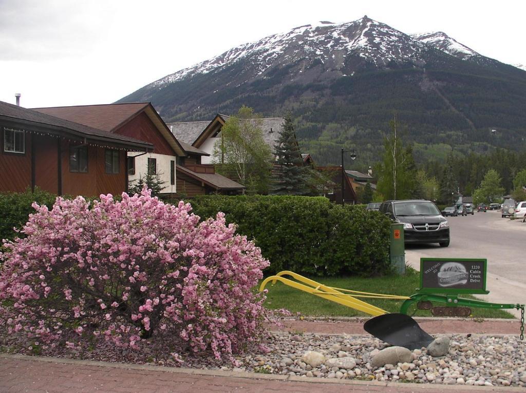 Schmidt'S Cabin Creek Jasper Hotel Jasper National Park Exterior foto