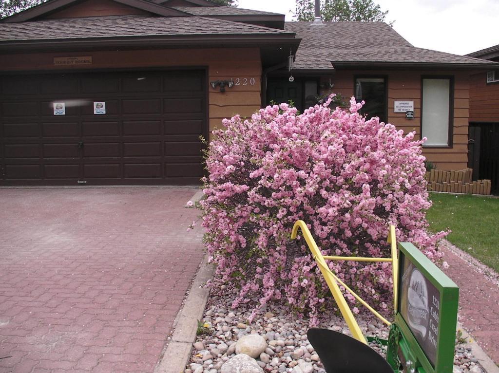 Schmidt'S Cabin Creek Jasper Hotel Jasper National Park Exterior foto